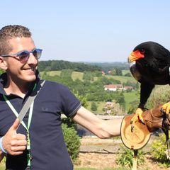 Erinnerungsfoto mit einem Greifvogel auf Faust